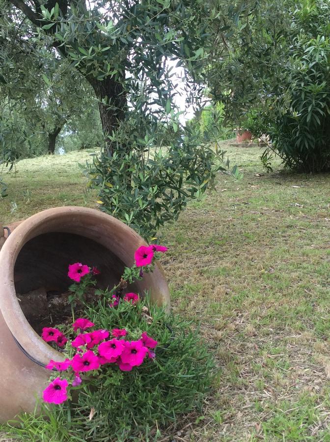 Tenuta Gaetano Spadaro カパンノリ エクステリア 写真